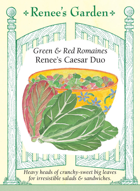 Lettuce Romaine 2 Colour Caesar Duo