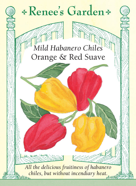 Pepper Mild Chile Habanero