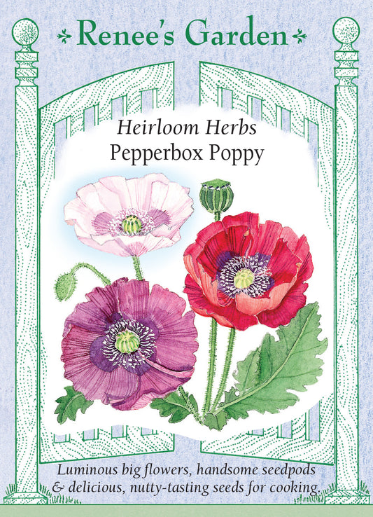 Poppy Culinary Heirloom Pepperbox