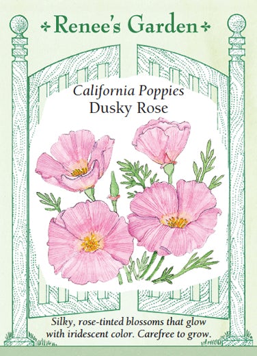 Poppy California Dusky Rose