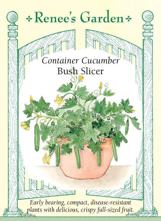 Cucumber Container Bush Slicer