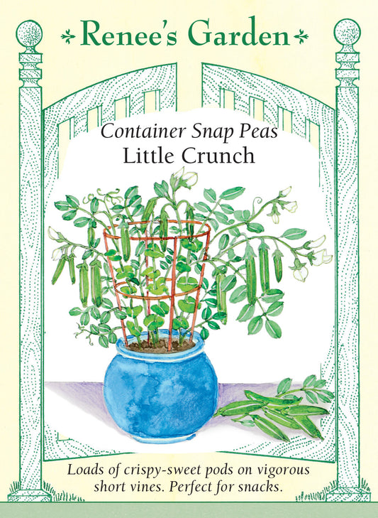 Pea Snap Container Little Crunch