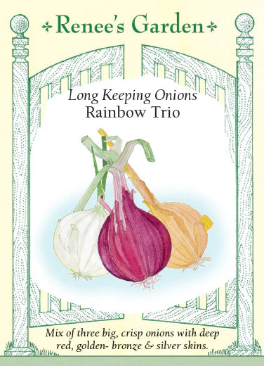Onion Rainbow Trio Long-Keeping