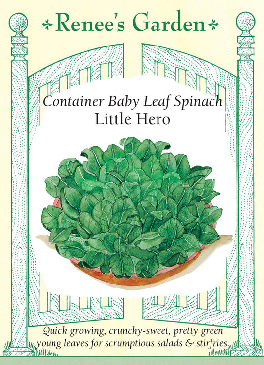 Spinach Container Baby Leaf Little Hero