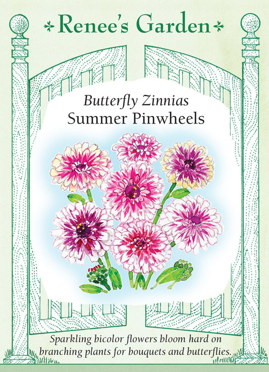 Zinnia Summer Pinwheels for Butterflies