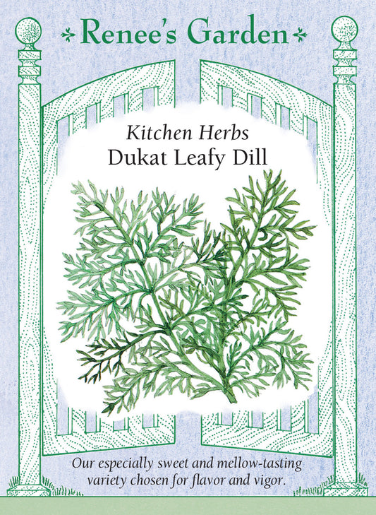 Dill Dukat Leafy