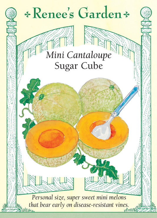Melon Mini Cataloupe Sugar Cube