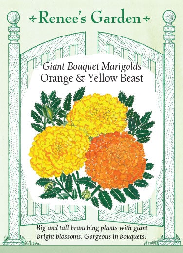 Marigold Giant Bouquet Orange & Yellow Beast