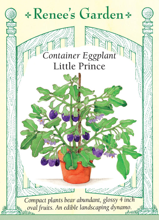 Eggplant Little Prince Container