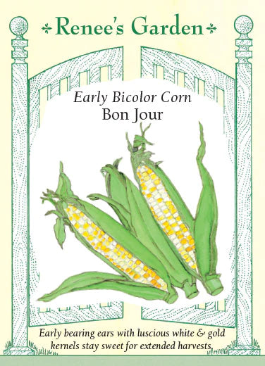 Corn Bon Jour Early