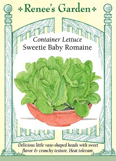 Lettuce Container Sweetie Baby Romaine