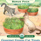 Organic Cat Treats Gourmet Mix