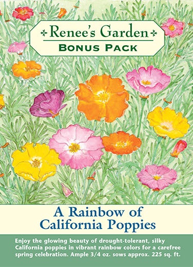 A Rainbow of California Poppy