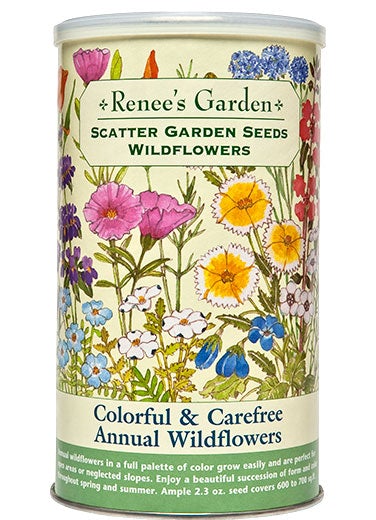 Colourful & Carefree Annual Wildflowers Scatter Garden