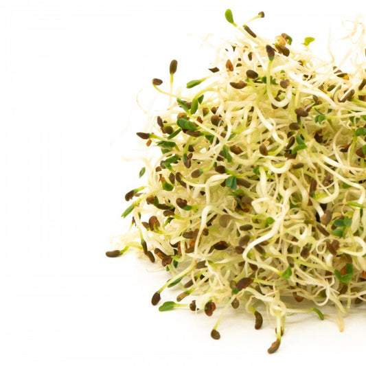 Sprouts Alfalfa Seeds 125gm