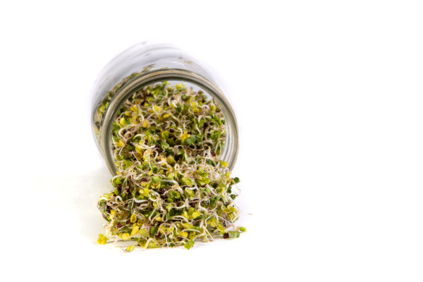 Mumms Logoed Sprouting Glass Jar with Mesh Lid