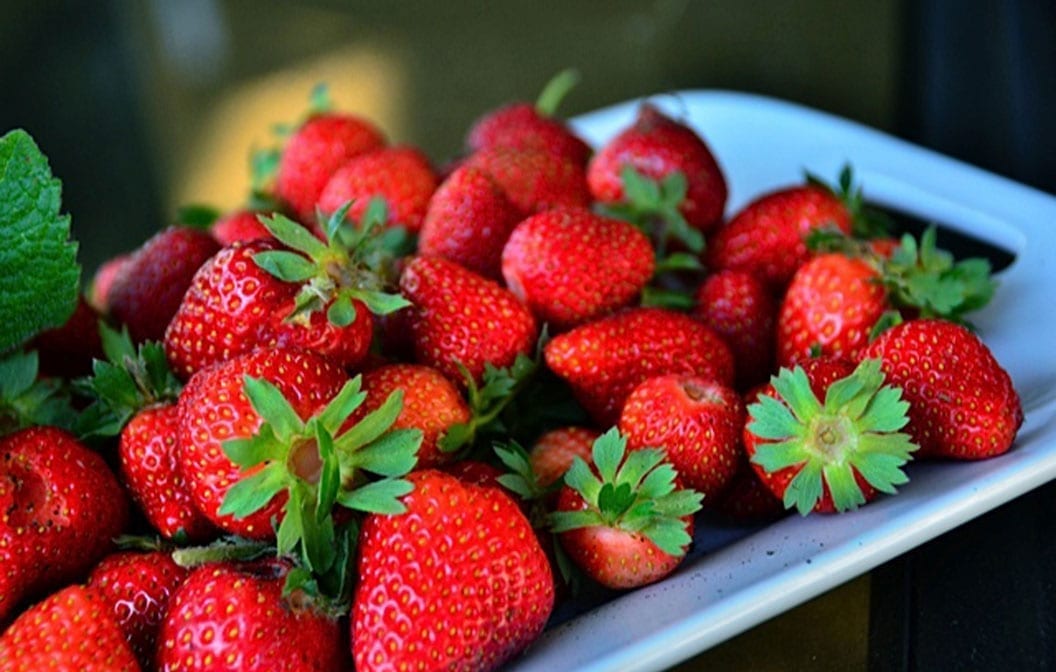 Strawberry Honeyoye, Bare Root, Bundle of 5 (June bearing)