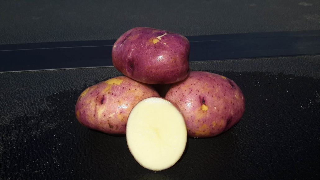 Potato Seed Caribe