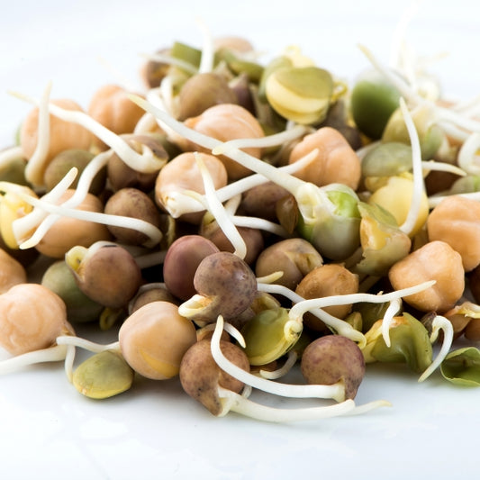 Sprouts Crunchy Bean Mix Seeds 125gm