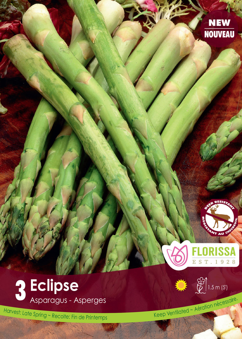 Asparagus Eclipse Roots