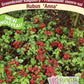 Raspberry Ground Cover Collection Valentina and Anna