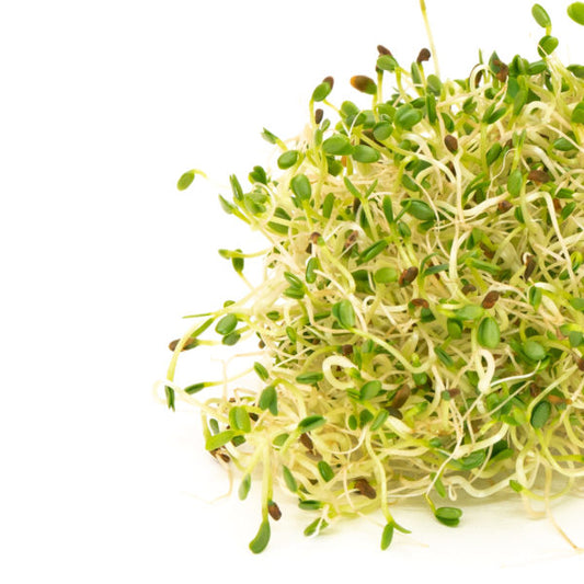 Sprouts Sandwich Booster Seeds 125gm