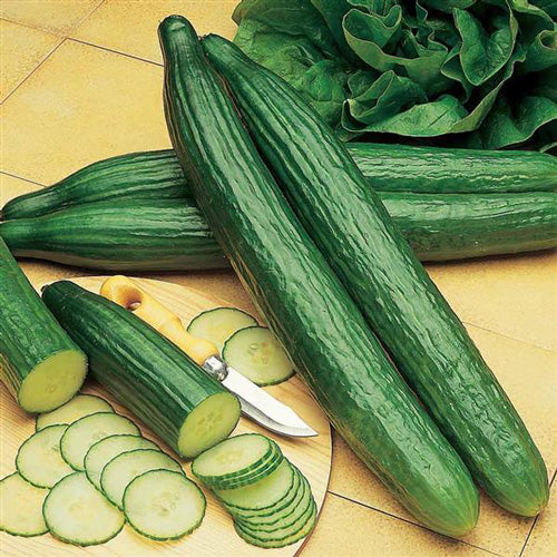 Cucumber Telegraph