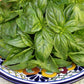 Basil Italian Genovese Organic