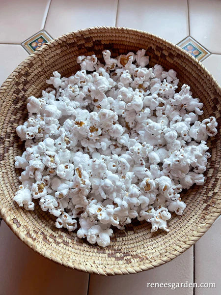 Corn Pink Pearls Mini Popcorn