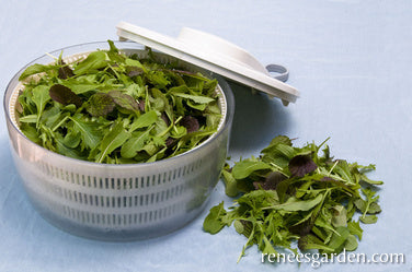 Greens California Spicy Salad