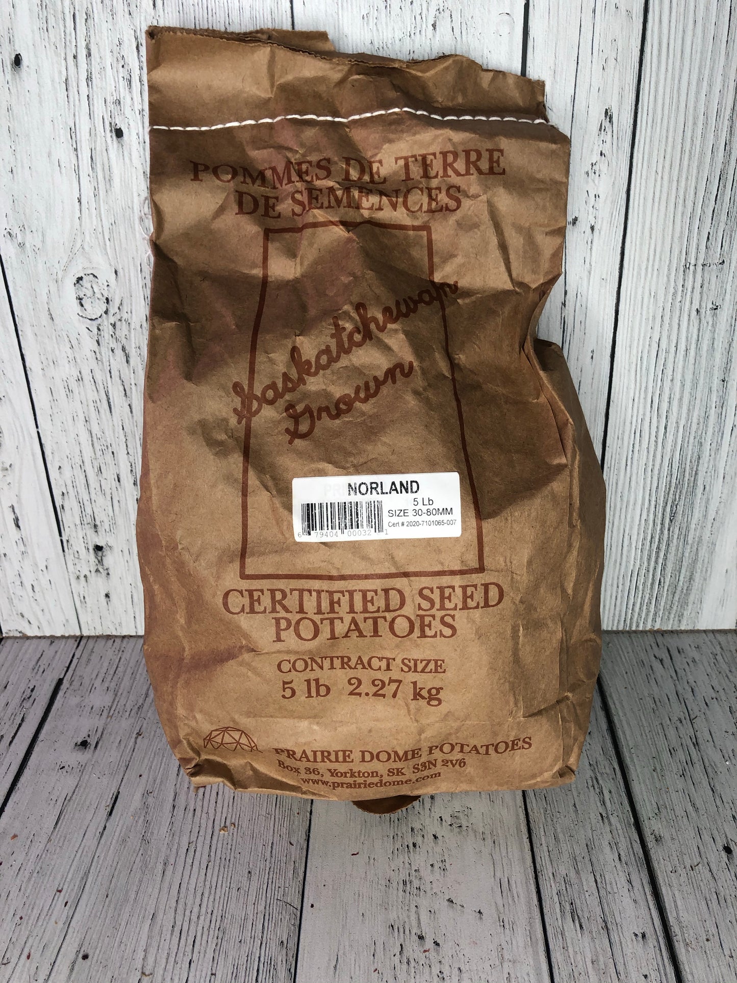 Potato Seed Red Norland