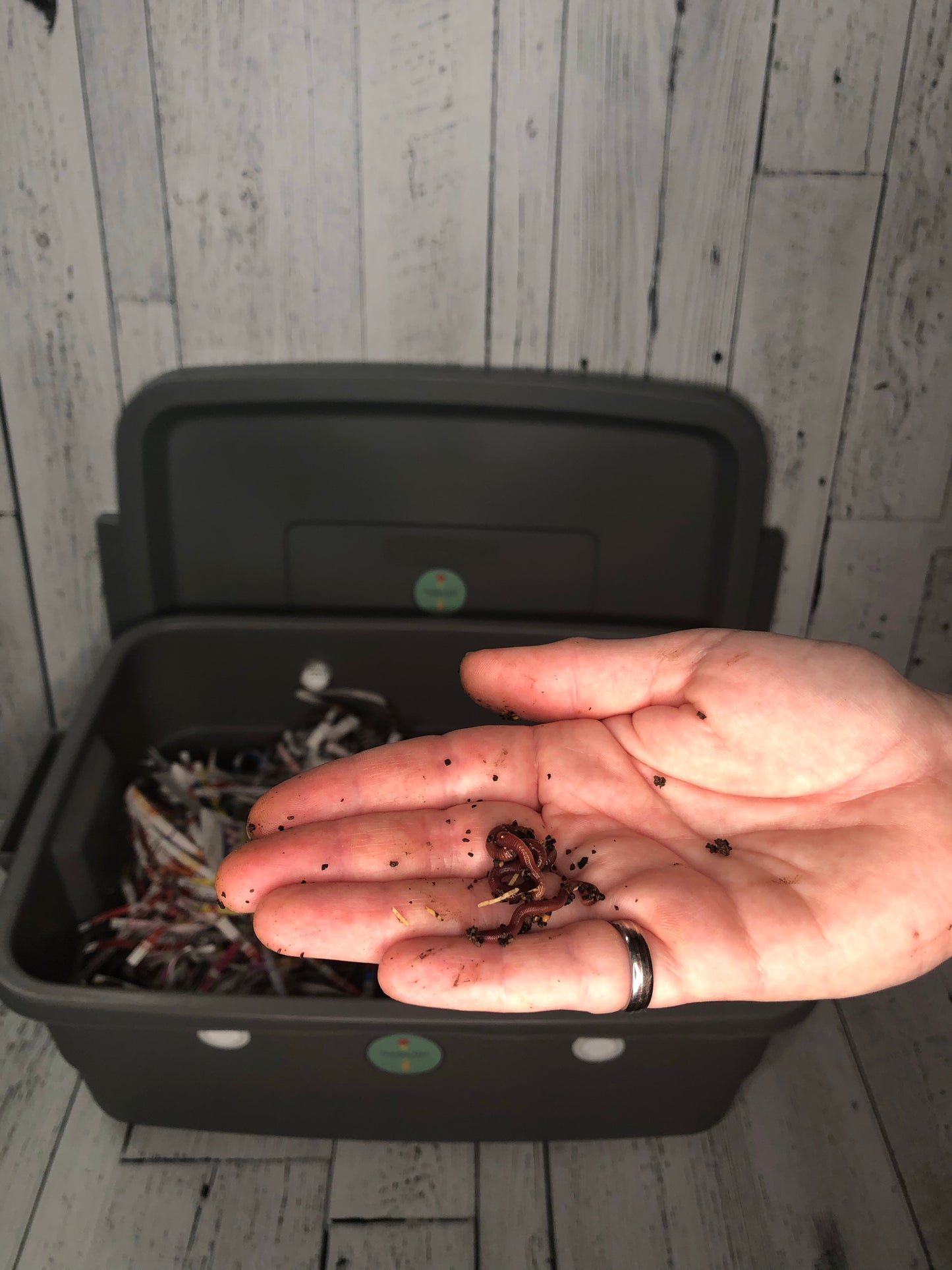 Verma/ Worm Composting Kits