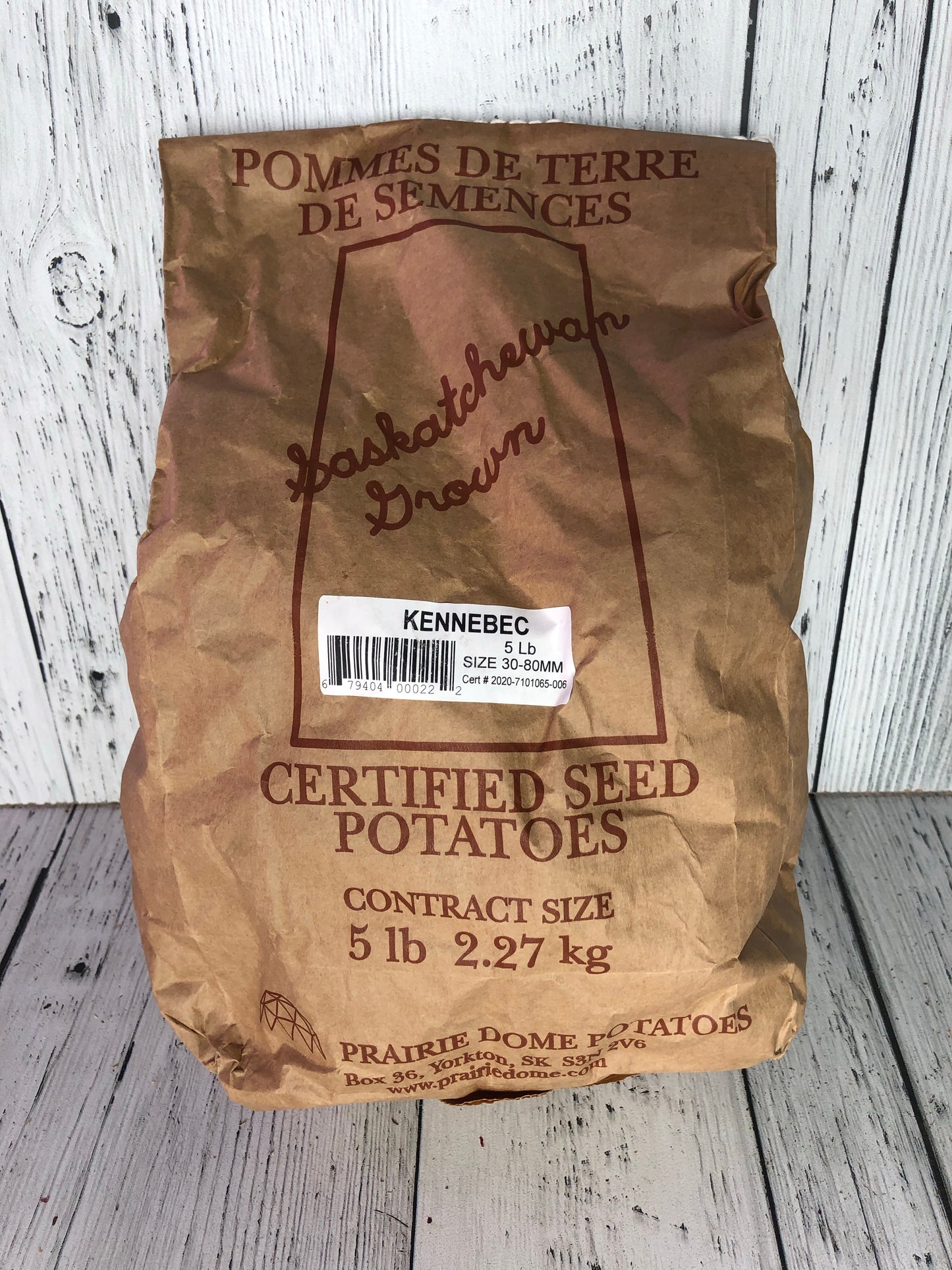 Seed Potato Kennebec