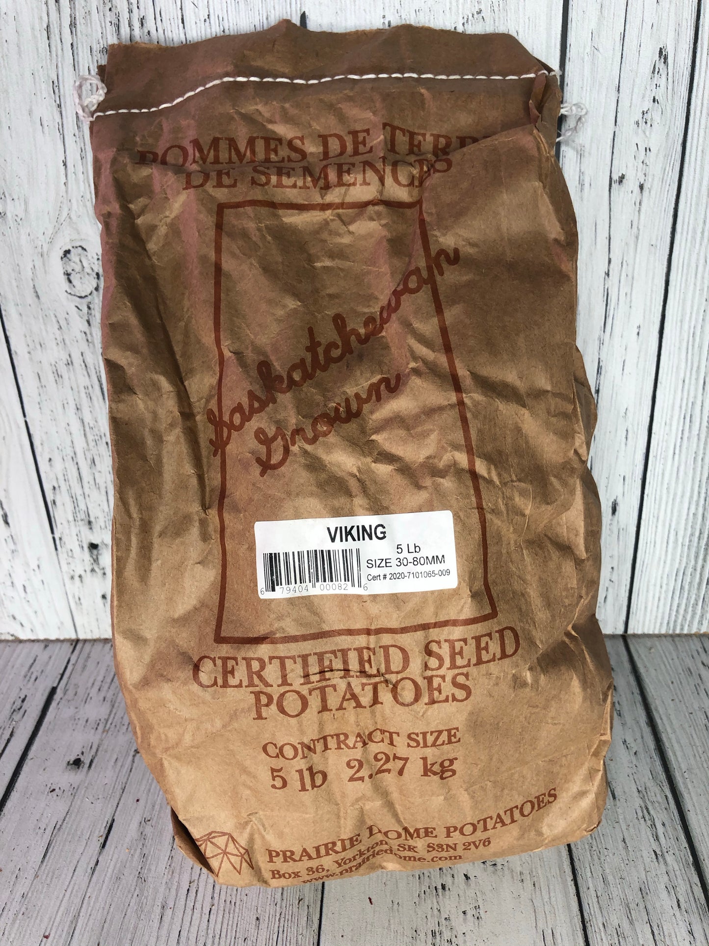 Potato Seed Red Viking