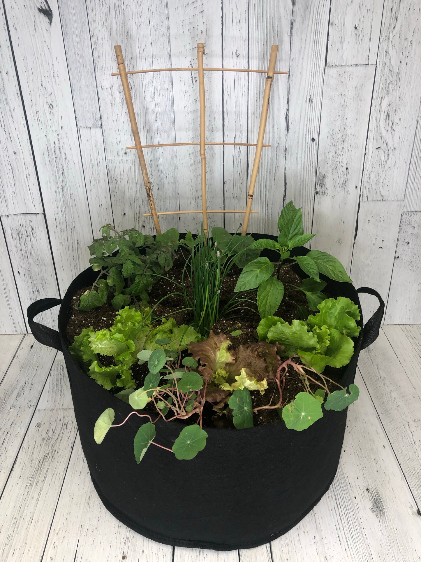 Garden Girl Salad Bag PREORDER