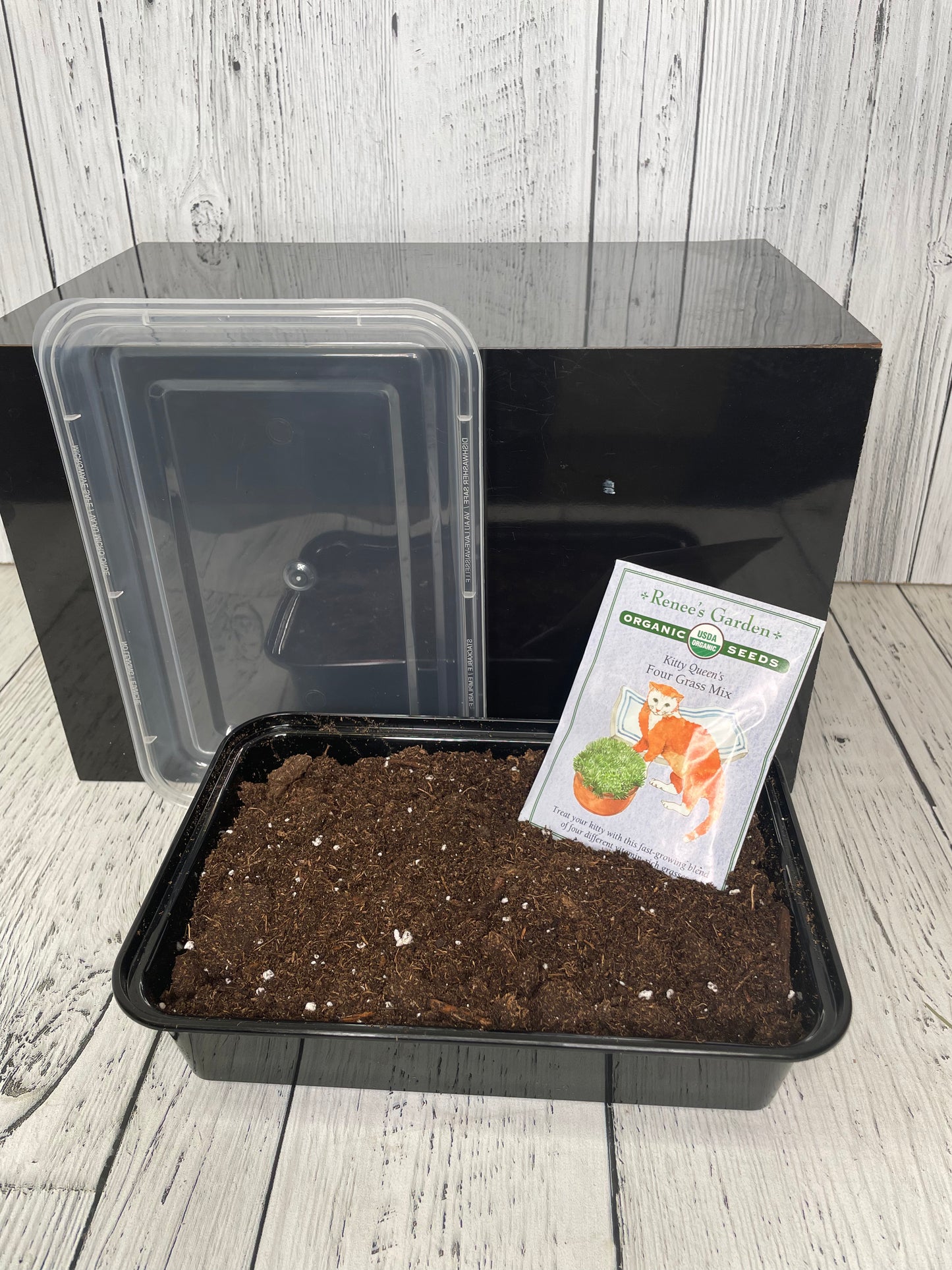 Cat Grass Kit