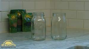 Sprouting Glass Jar with Bean Screen