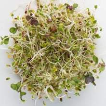 Sprouts Sandwich Booster Seeds 250gm