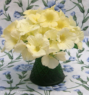 Nasturtium Buttercream