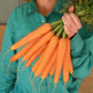 Carrot Rotild Organic