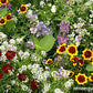 Flower Power for Nature's Pollinators Scatter Garden