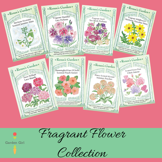 Fragrant Flower Garden Seed Collection
