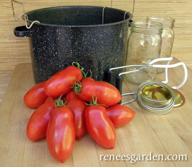 Tomato Sauce Italian San Marzano Organic