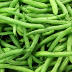 Bean Tendergreen Bush OSC Seed