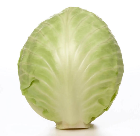 Cabbage Copenhagen Market OSC Seeds