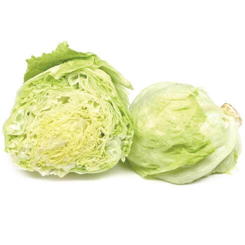 Lettuce Iceberg OSC Seed