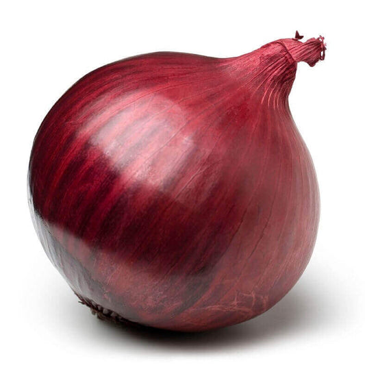 Onion Red Globe OSC Seed