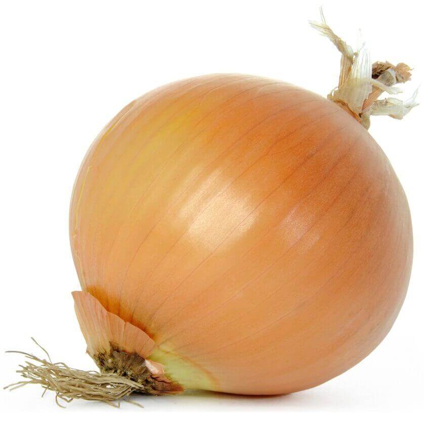 Onions Sweet Spanish Utah OSC seeds