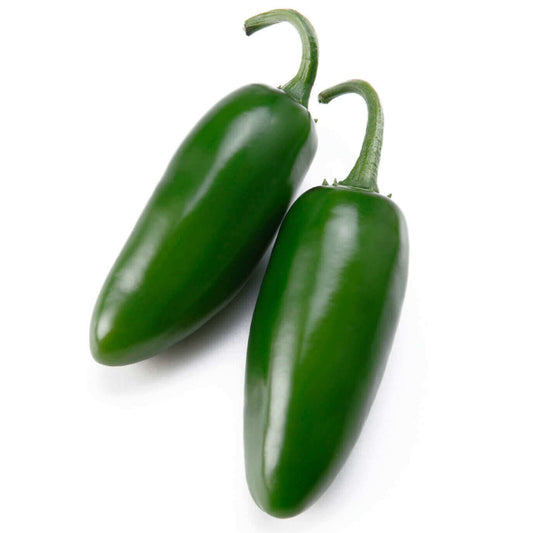 Pepper Jalapeno OSC Seed