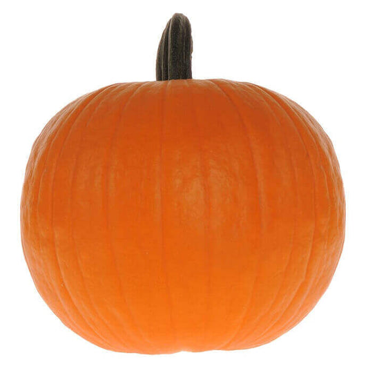 Pumpkin Lantern Neon Hybrid OSC seeds